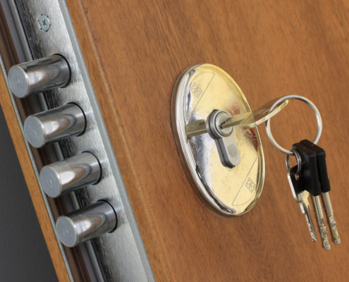 Calgary Security Doors